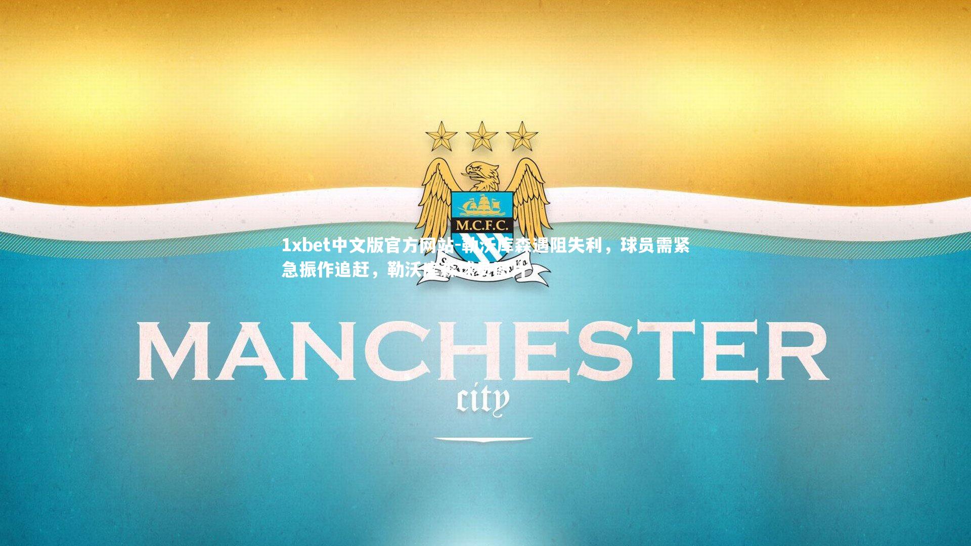 勒沃库森遇阻失利，球员需紧急振作追赶，勒沃库森球员图片