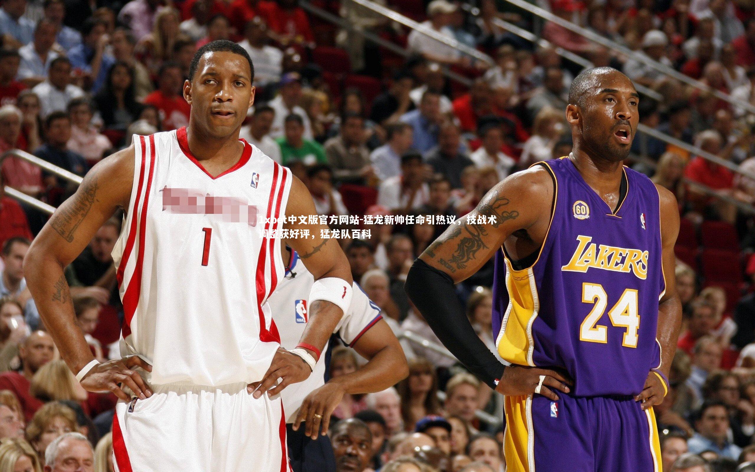 猛龙新帅任命引热议，技战术调整获好评，猛龙队百科