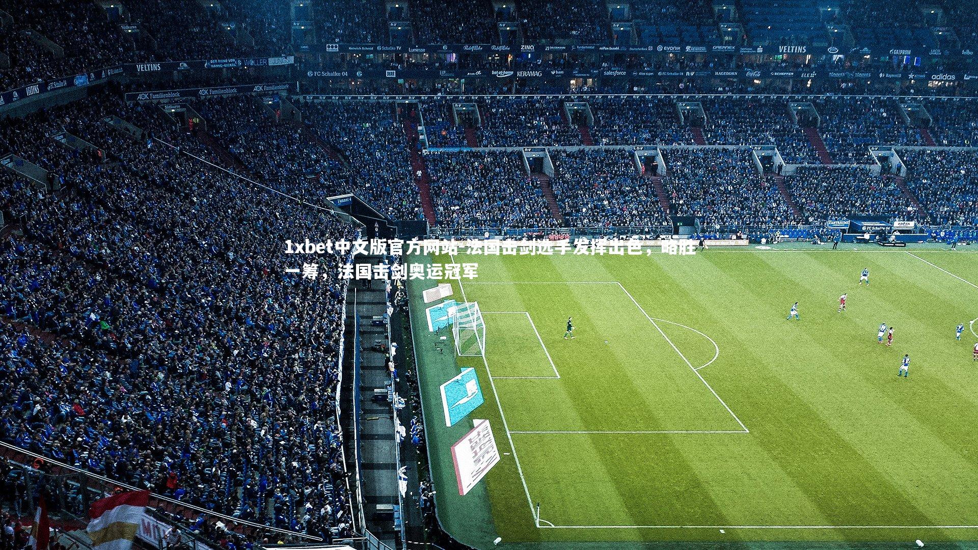 法国击剑选手发挥出色，略胜一筹，法国击剑奥运冠军