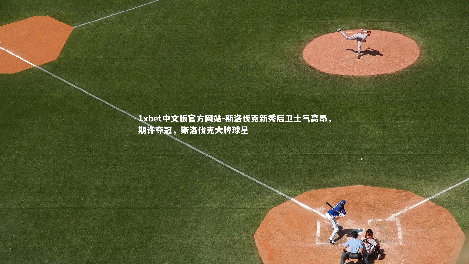 斯洛伐克新秀后卫士气高昂，期许夺冠，斯洛伐克大牌球星